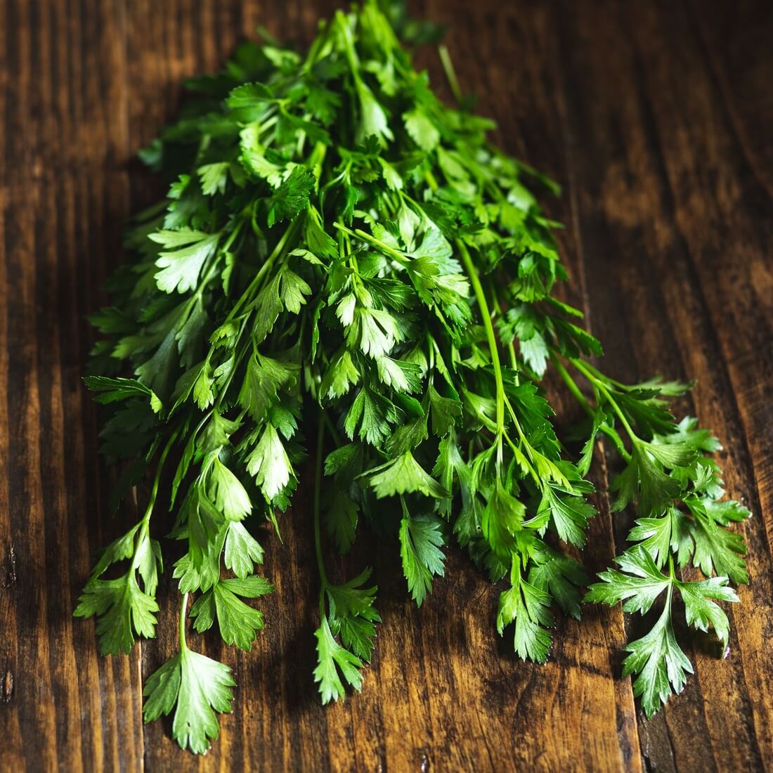 Perejil de la Huerta (atado)