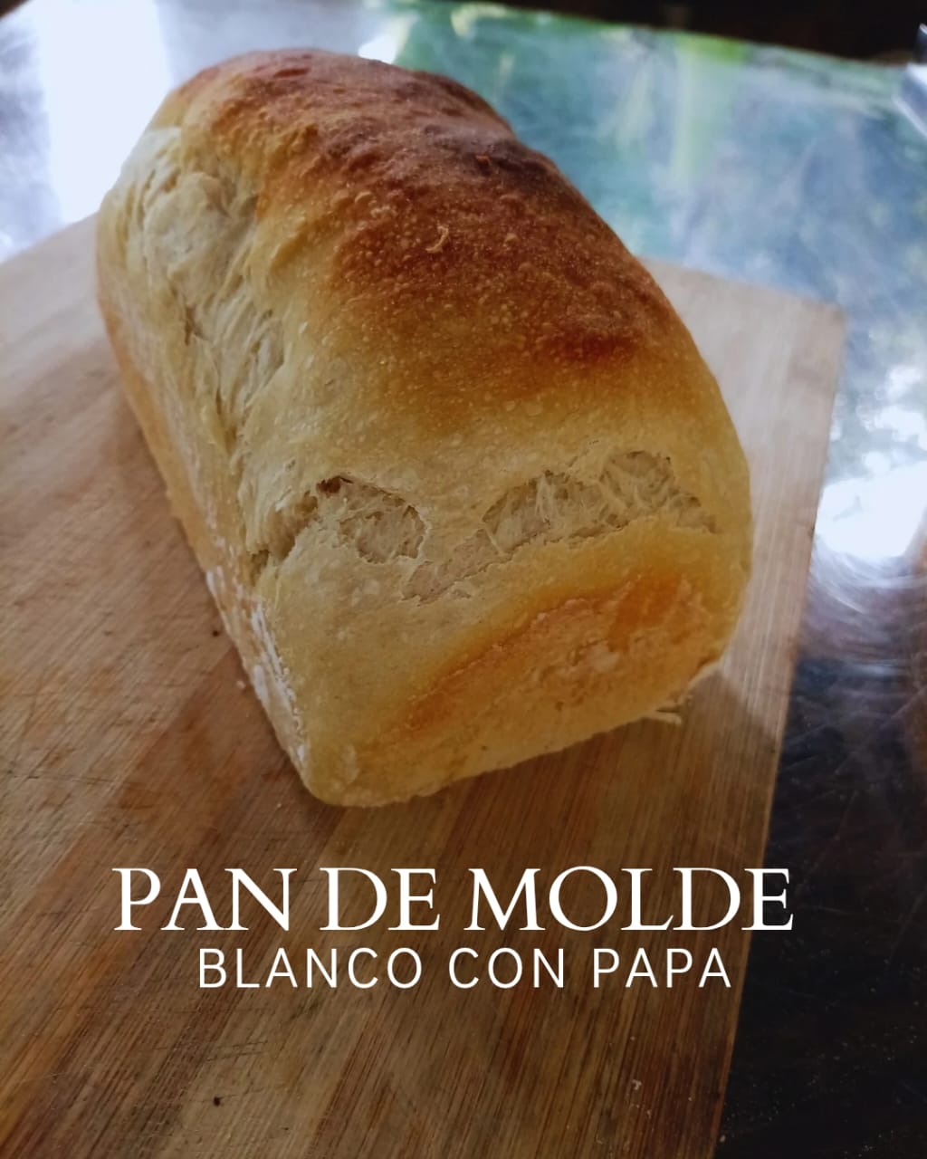 Pan de Molde (Masa Madre)