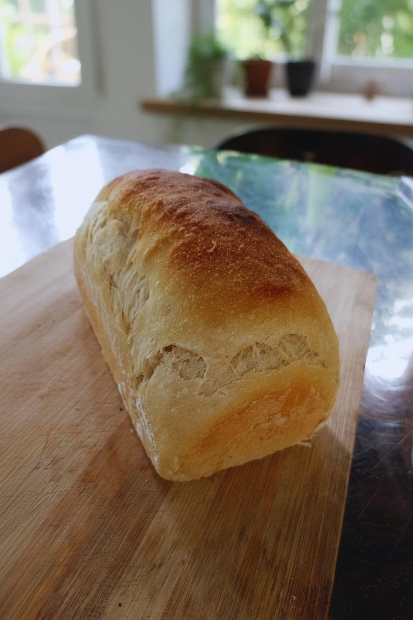 Pan de Molde (Masa Madre)
