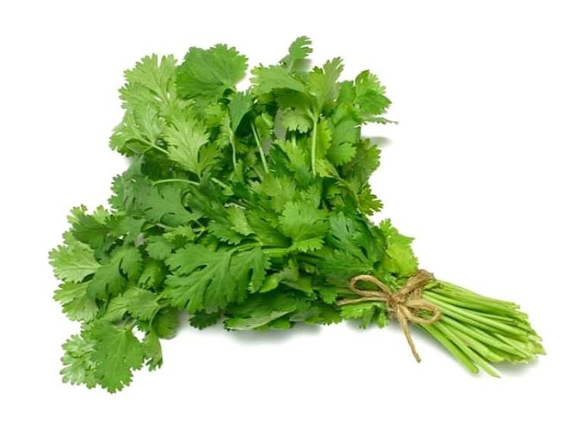 Cilantro (atado)