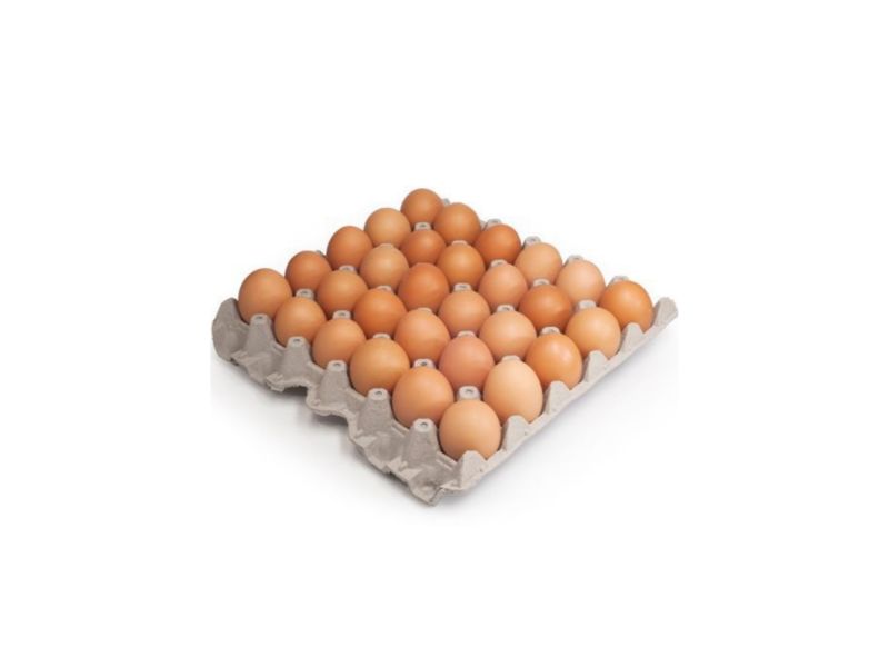 Panal de huevos AA (30 unidades)