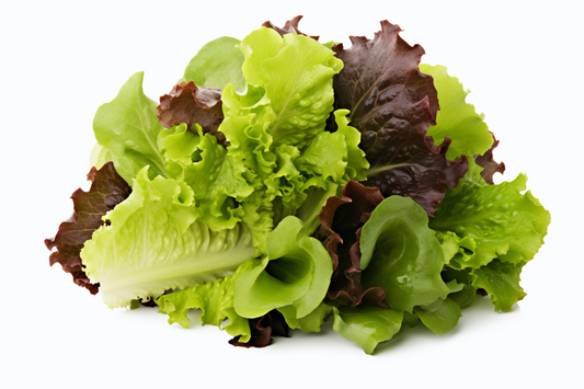 Bouquet de Lechugas (und)