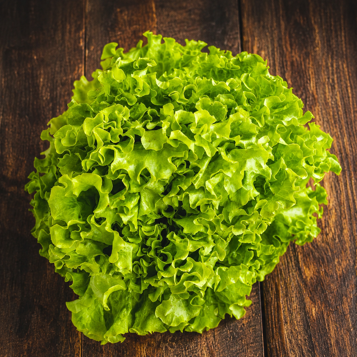 Lechuga Crespa de la Huerta (atado)