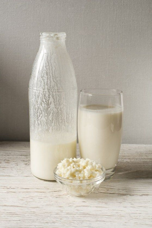 Kéfir de leche (sabor natural)