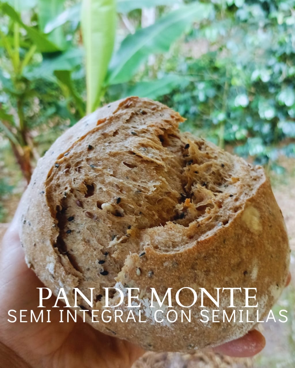 Pan de Monte (Masa Madre)