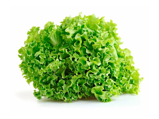 Lechuga Crespa (atado)